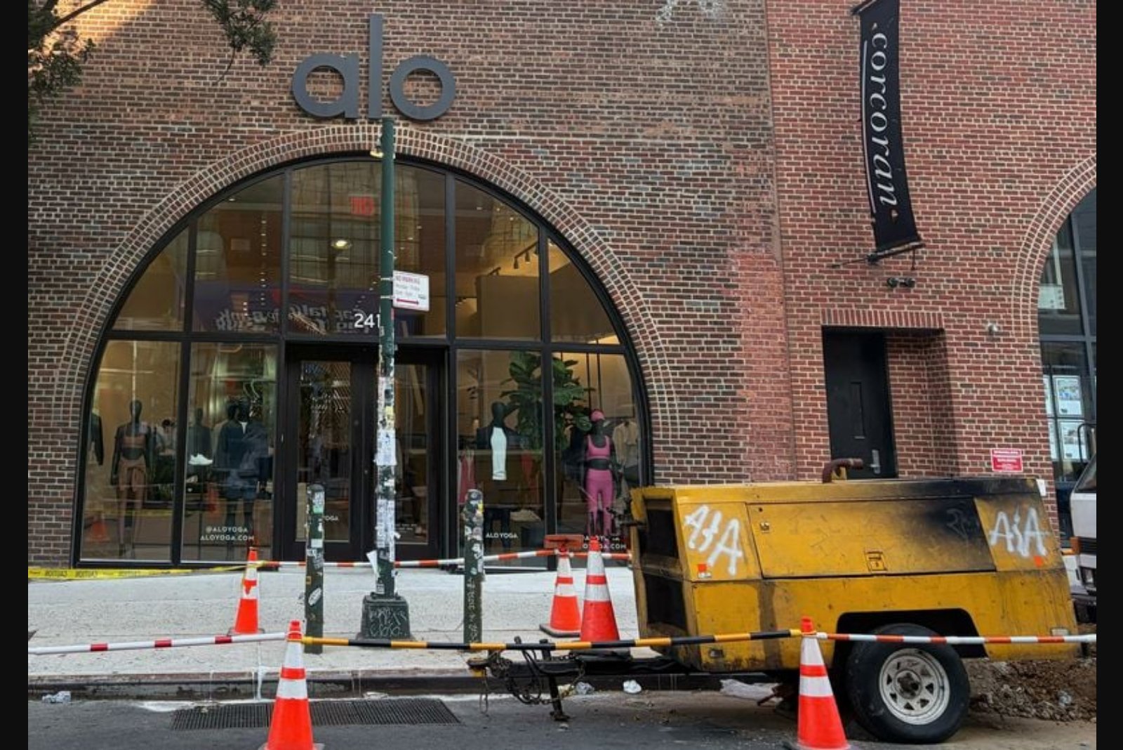 Alo Yoga Positioned for Sale or IPO After Owner Agrees to Divest Bella+Canvas