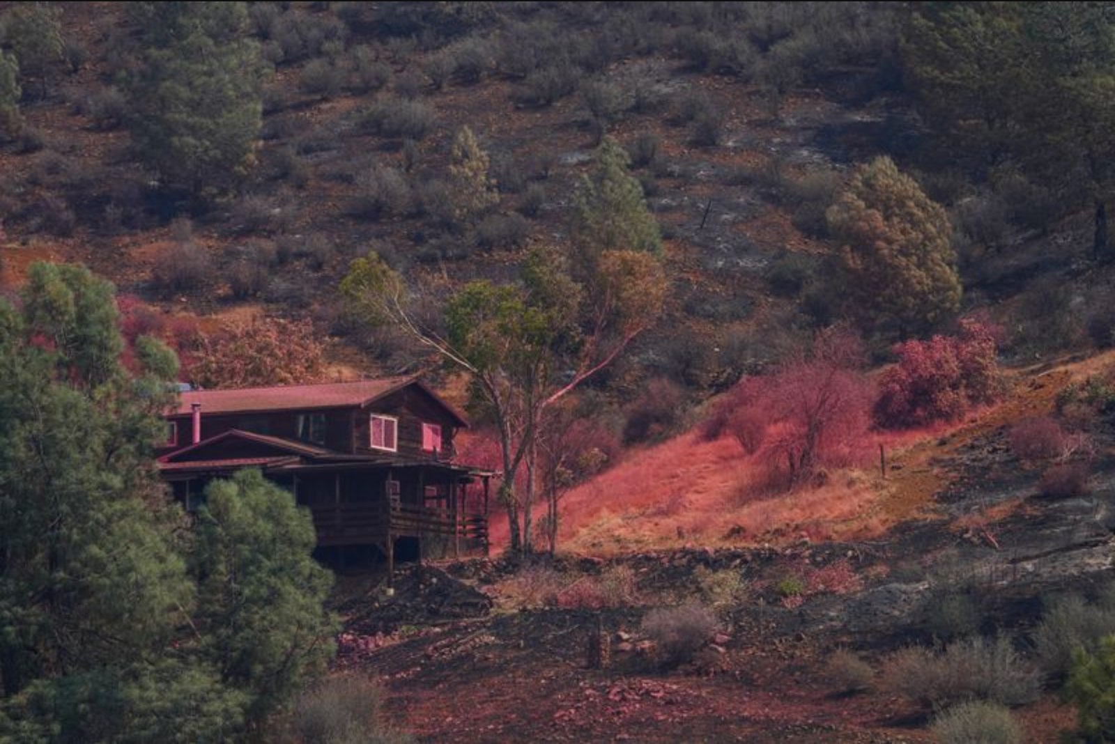 Trump Order Seeks Faster Rebuild After California Wildfires; Newsom Says Cash, Not Permits, Is the Barrier