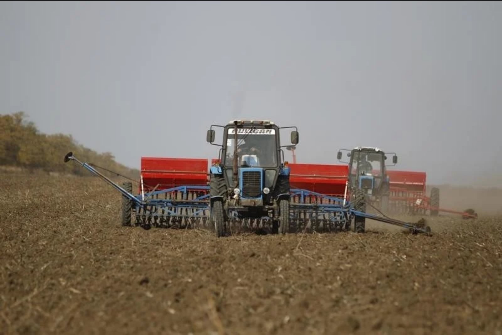 Chicago Wheat Climbs to Three-and-a-Half-Year Peak as Black Sea Attacks Disrupt Export Routes