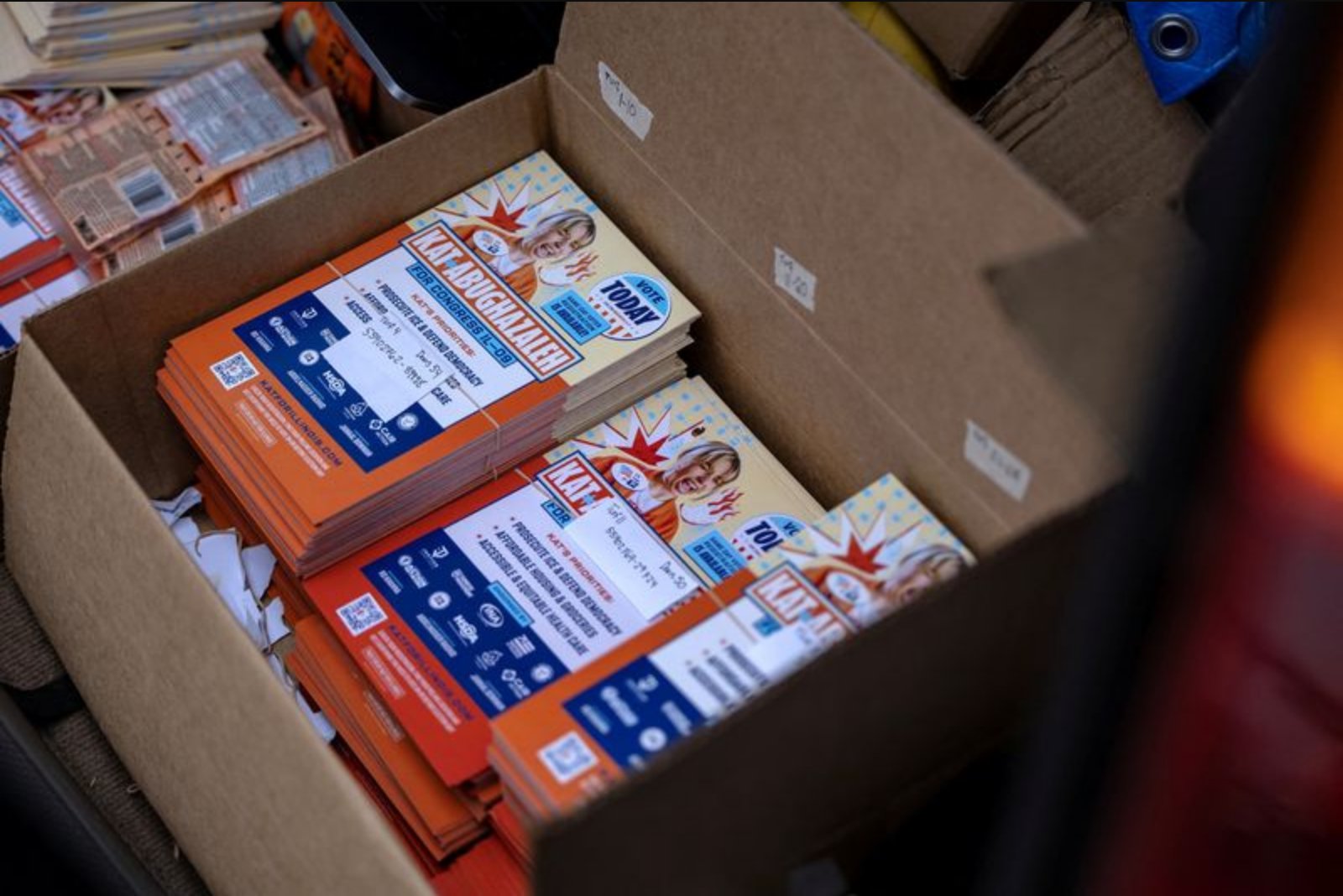 Illinois Democratic Primary Pits Progressives Against Moderates as Key Retirements Reshape Delegation