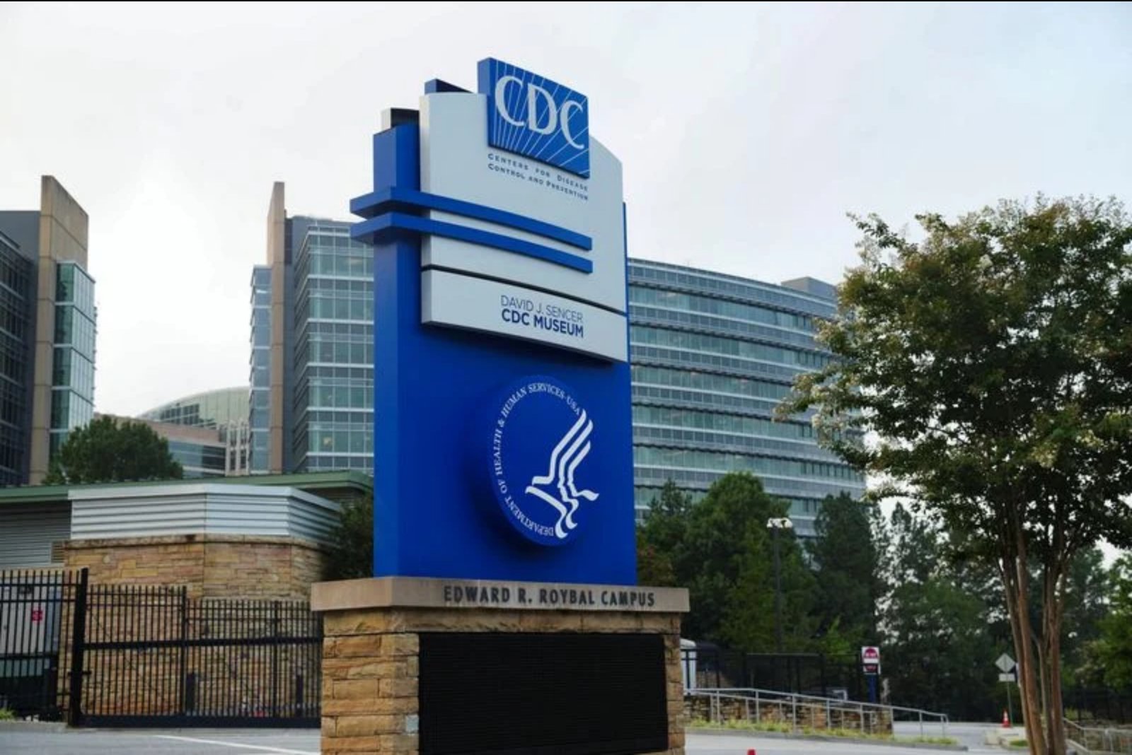 Erica Schwartz Faces Senate Health Panel in Bid to Lead CDC amid Measles and Ebola Crises