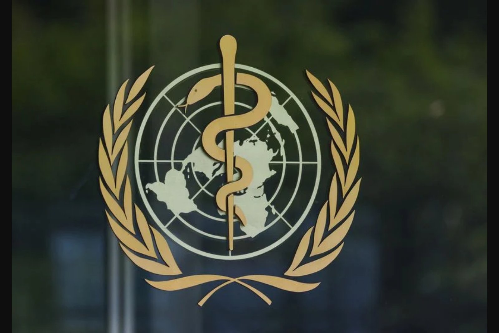 First Patient Enrolled in Bundibugyo Ebola Treatment Trial as WHO Flags Ongoing Violence and Capacity Strains