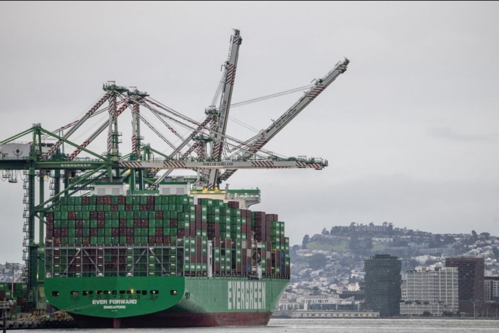 Policy Group Urges Targeted Tariffs on Display Cells to Shield U.S. Military Supply Lines