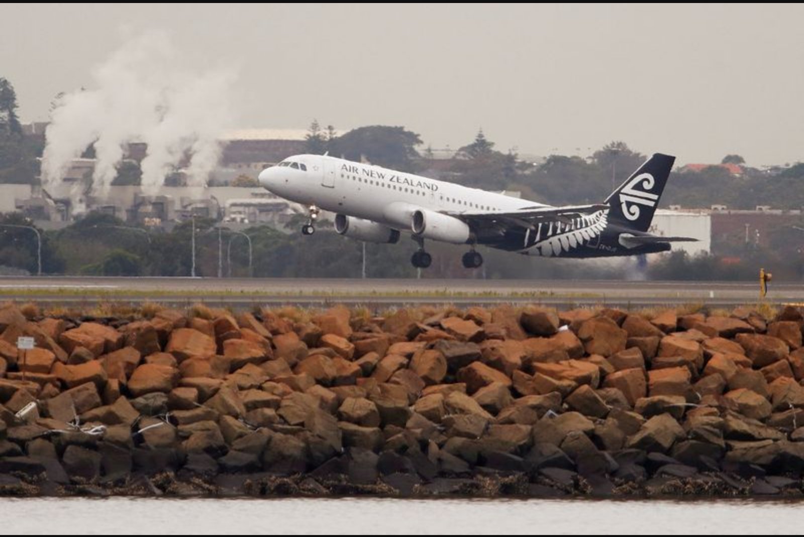 Air New Zealand to cut 5% of flights as jet fuel spike reverberates through travel sector