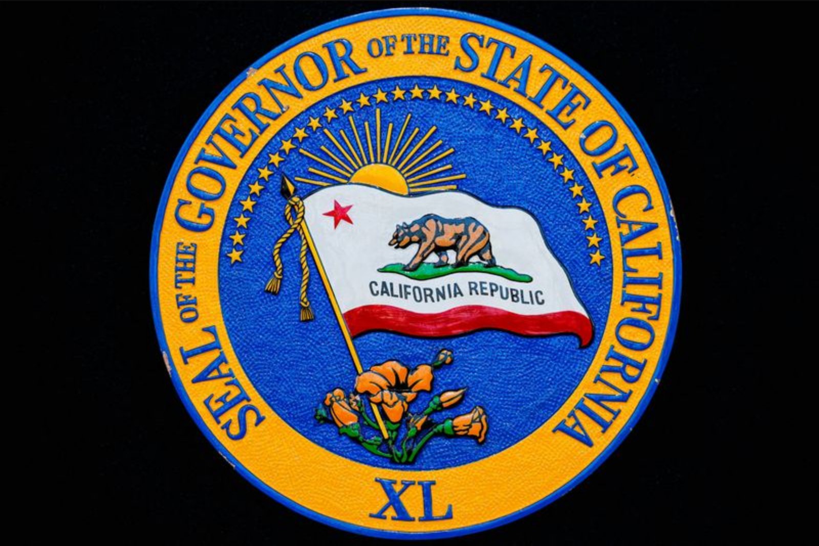 Trump Endorses Steve Hilton in California Governor Contest