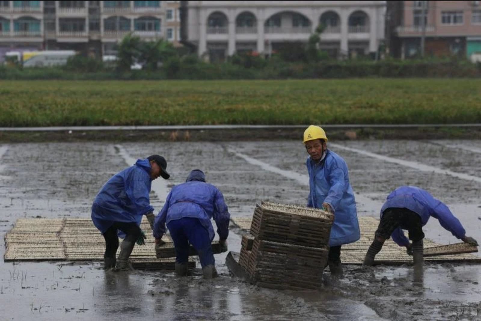 Mass Evacuations as Typhoon Bavi Advances Toward Wenzhou
