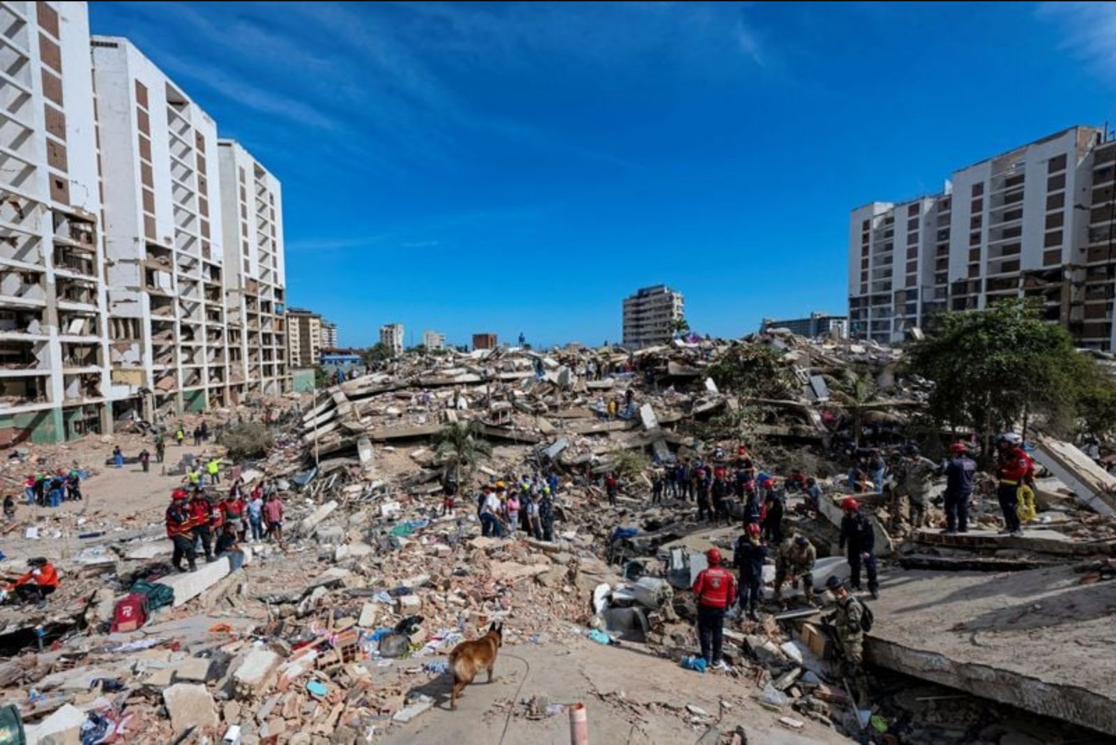 Father and Son Pulled from Rubble After Four Days; International Teams Continue Search in La Guaira