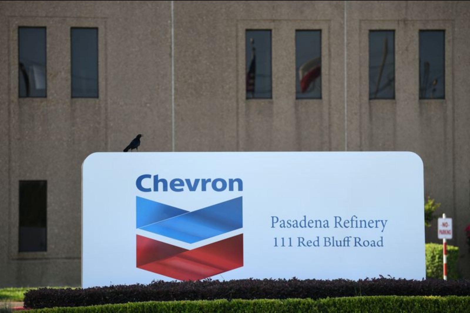 Proxy Advisers Urge Votes Against Key Board Measures at Exxon and Chevron Ahead of May Meetings