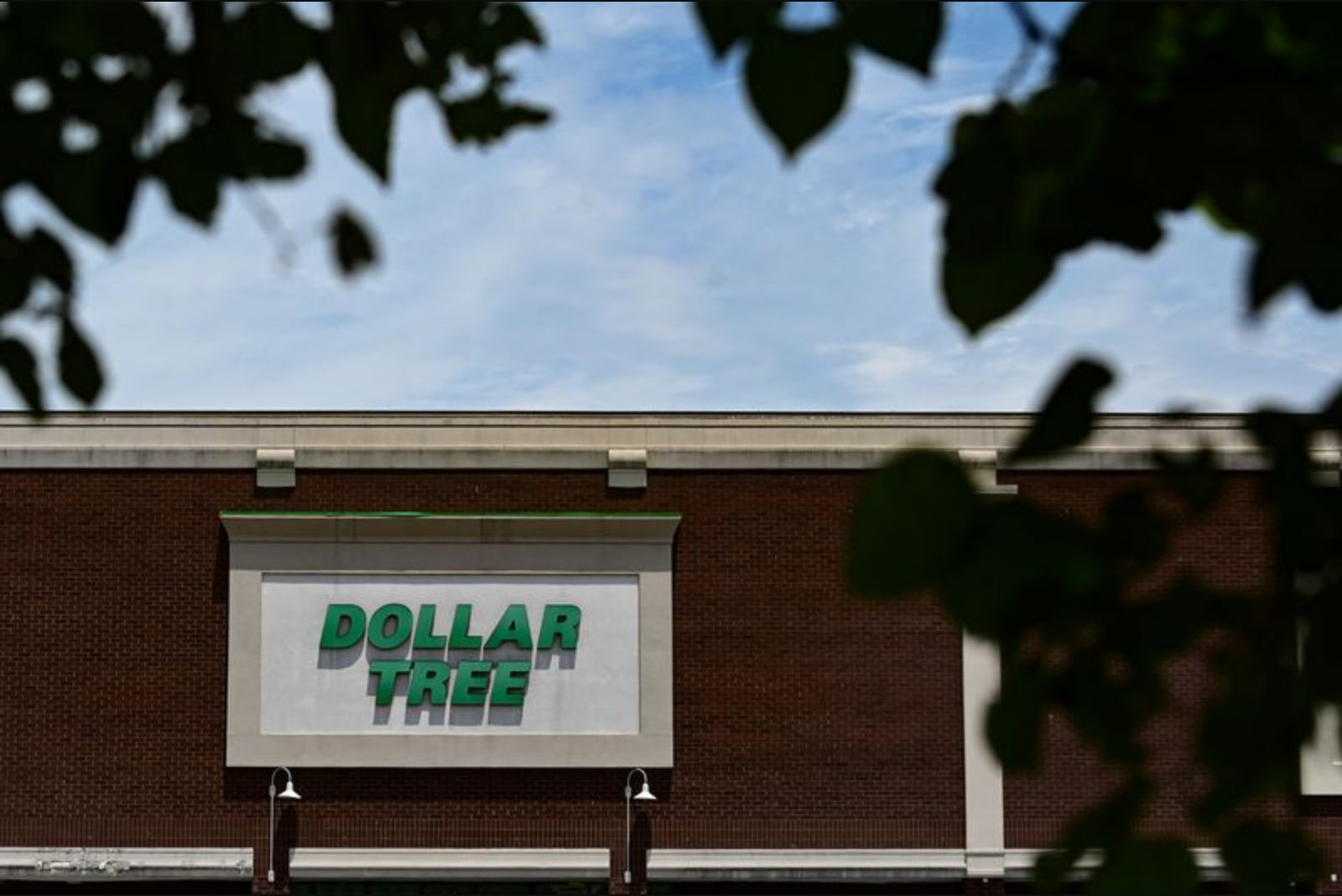 Dollar Tree Flags Tepid Full-Year Sales Outlook as Consumers Pull Back