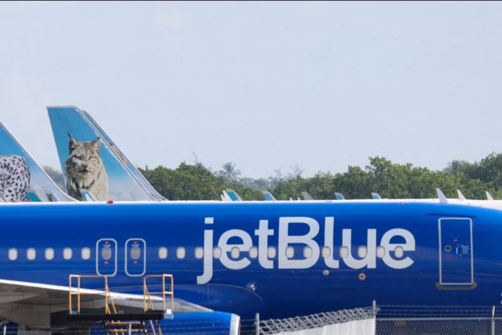 Class Action Alleging JetBlue Used Passenger Data to Drive Fare Increases Filed in Brooklyn
