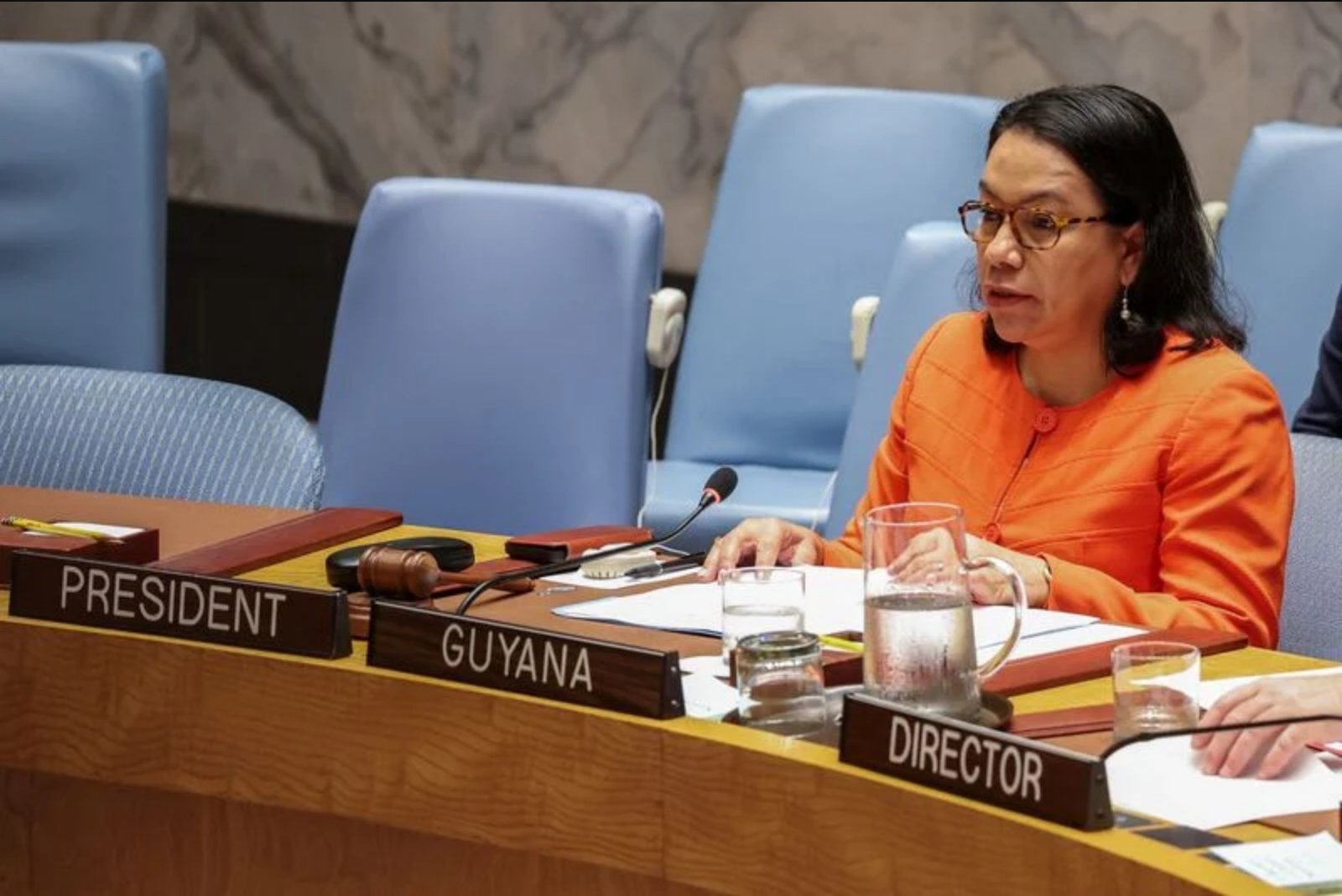 Guyana’s U.N. Candidate Urges Shared Duty to Preserve and Reform the Organization