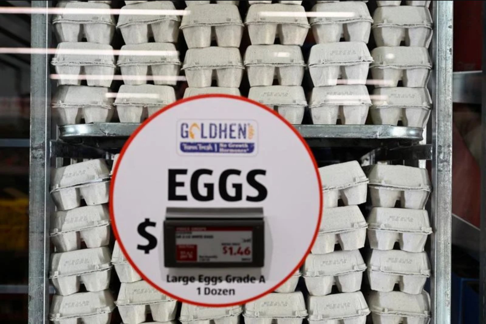 Cal-Maine and Other Egg Suppliers Near Agreements to Resolve DOJ Price Coordination Probe