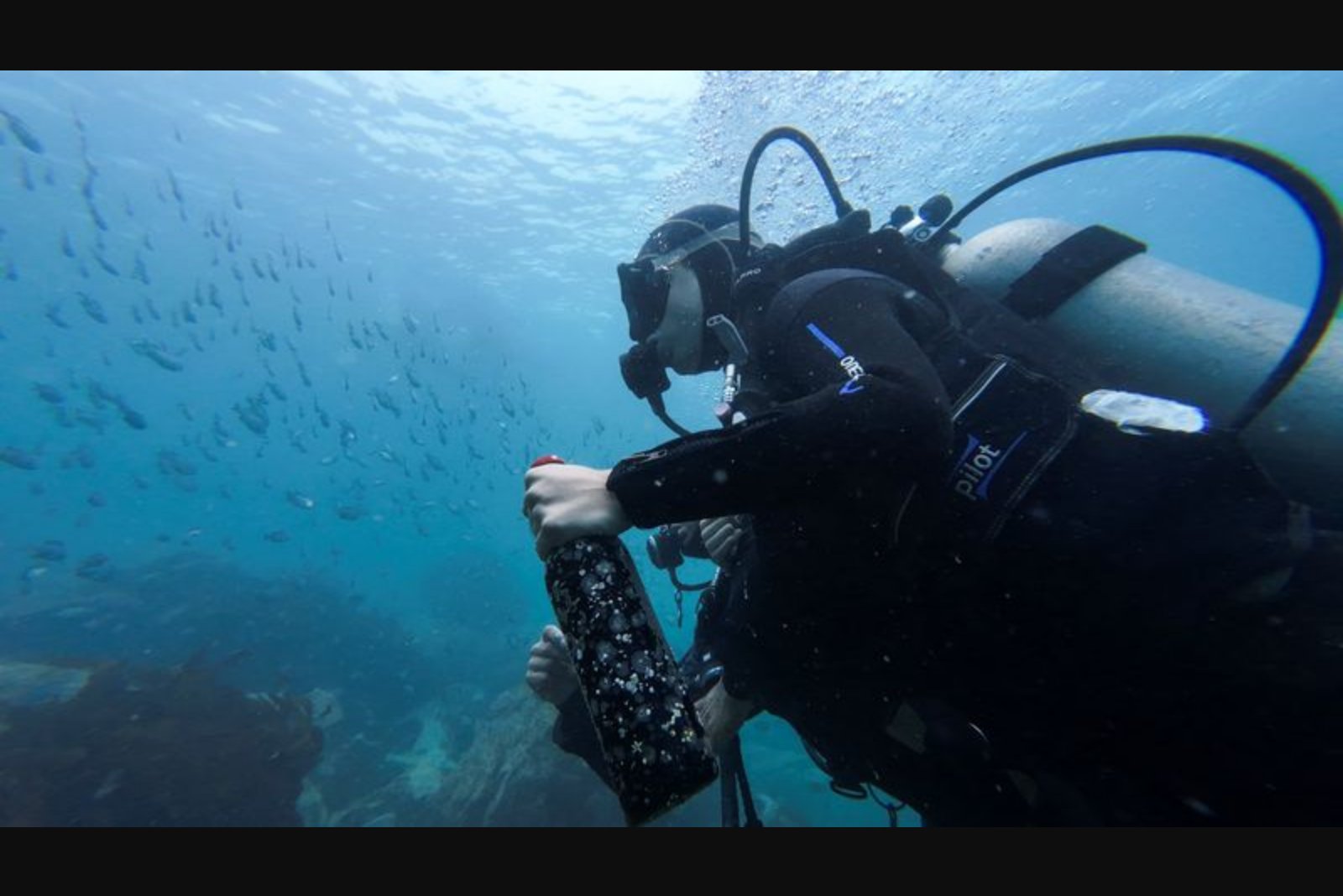 Chile Tests Underwater Wine Cellars Near Island of Locos