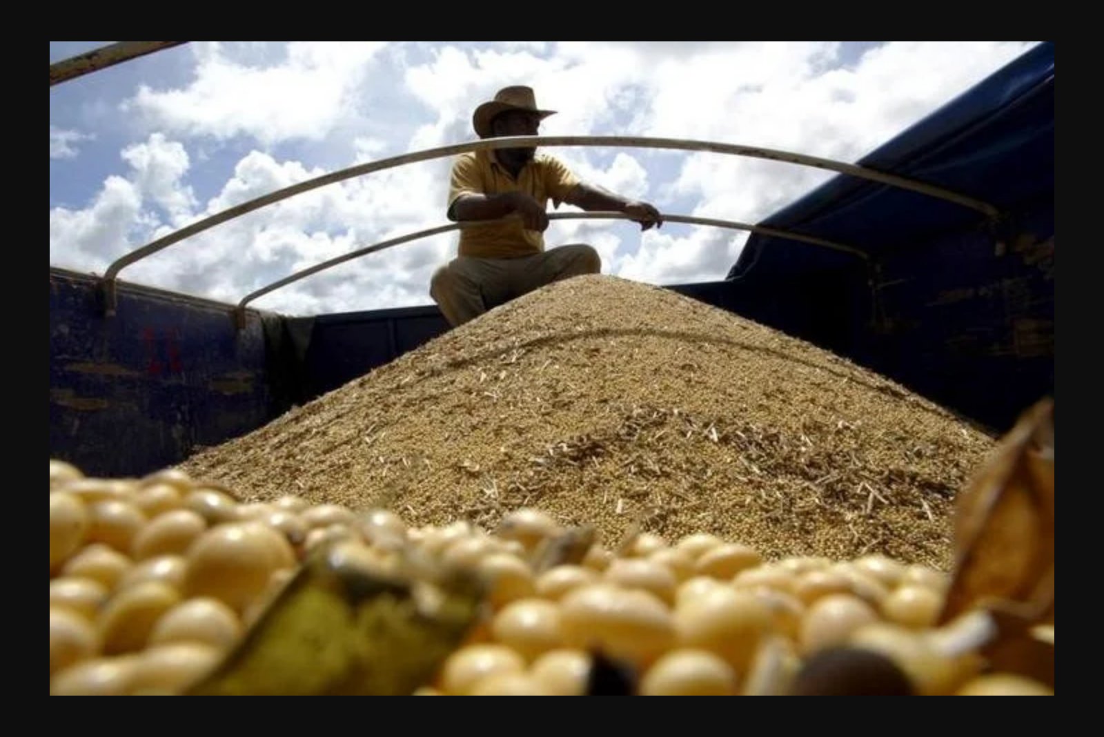 U.S. Soybean Crush Exceeds Estimates as Daily Processing Rebounds in June