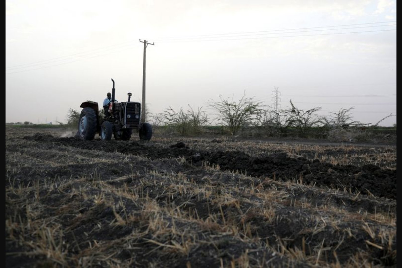 Rising Fuel and Fertilizer Costs Threaten Sudan’s Already Strained Harvests