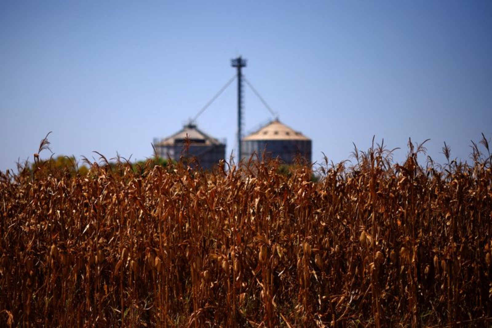 Middle East Escalation Puts Brazil’s Grain Shipments and Fertilizer Flows at Risk