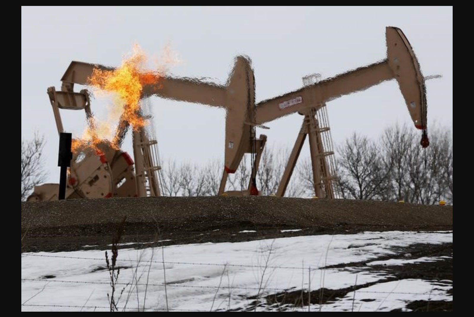 Soybean Oil Advances Toward Three-Year Peak as Iran Tensions and Biofuel Rules Lift Demand