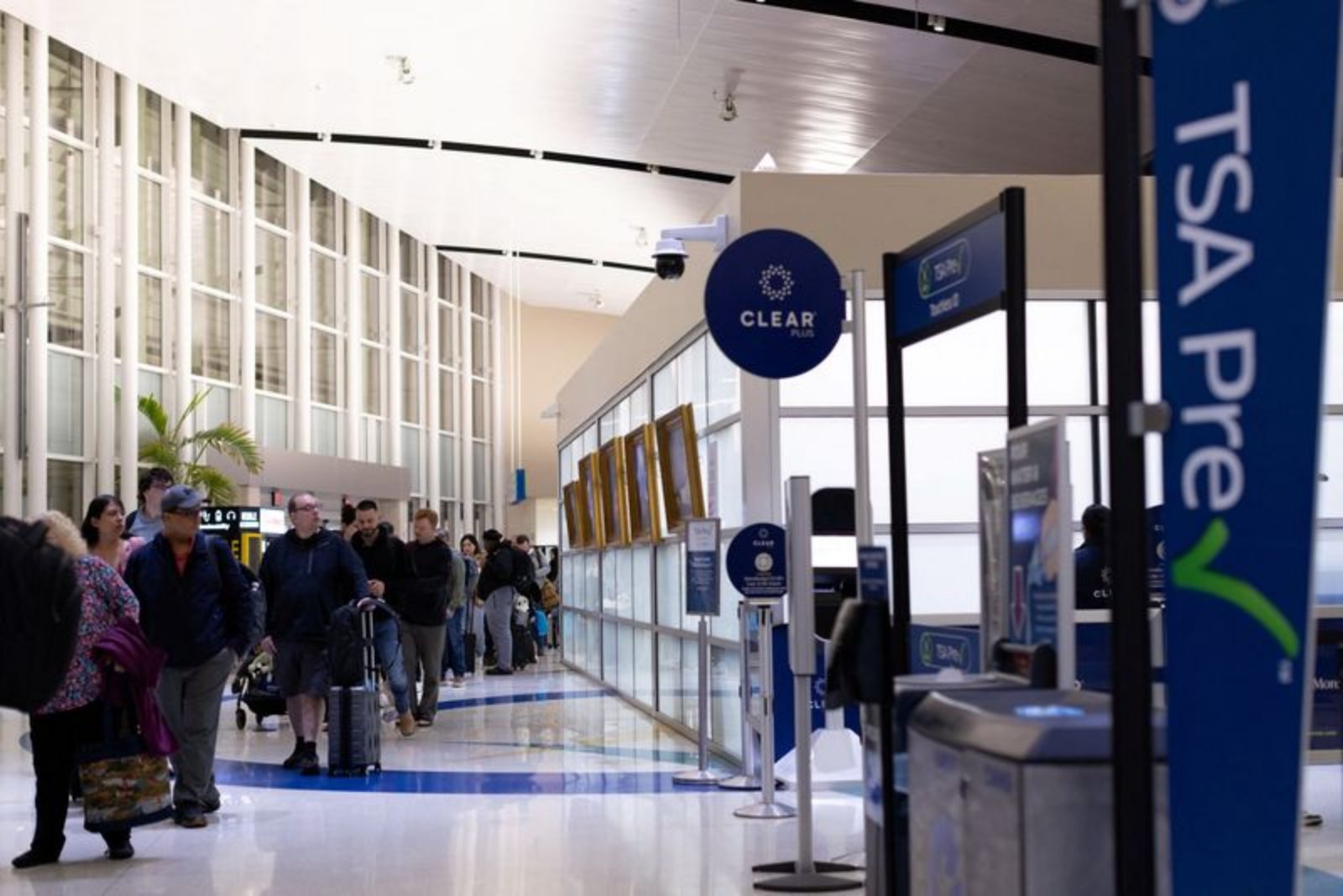 Airline CEOs Urge Swift End to Shutdown, Call for Pay for TSA Officers