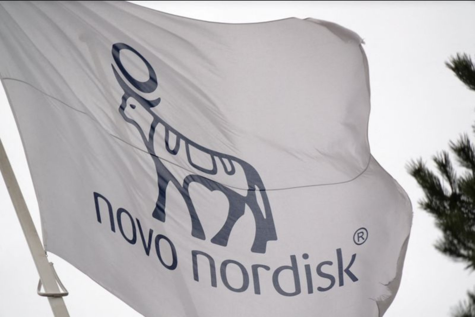 Novo Nordisk Shares Plunge After CagriSema Trial Fails to Match Eli Lilly Drug