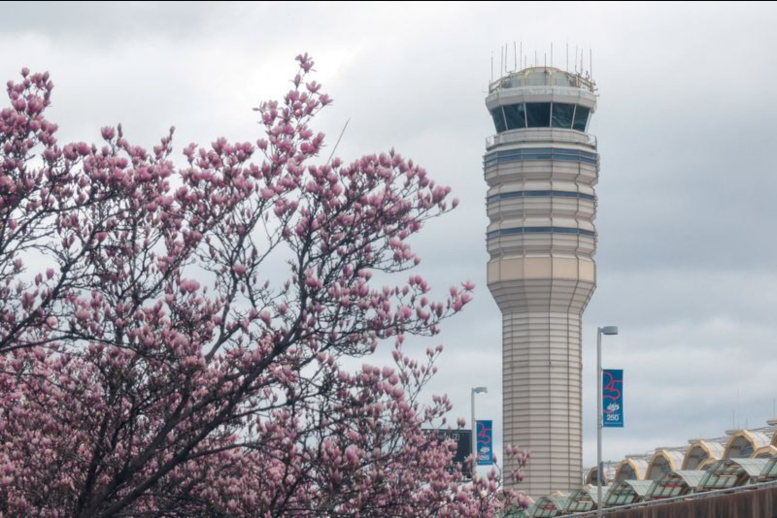 FAA Suspends Operations at Major Washington-Area Airports After Odor Forces TRACON Evacuation