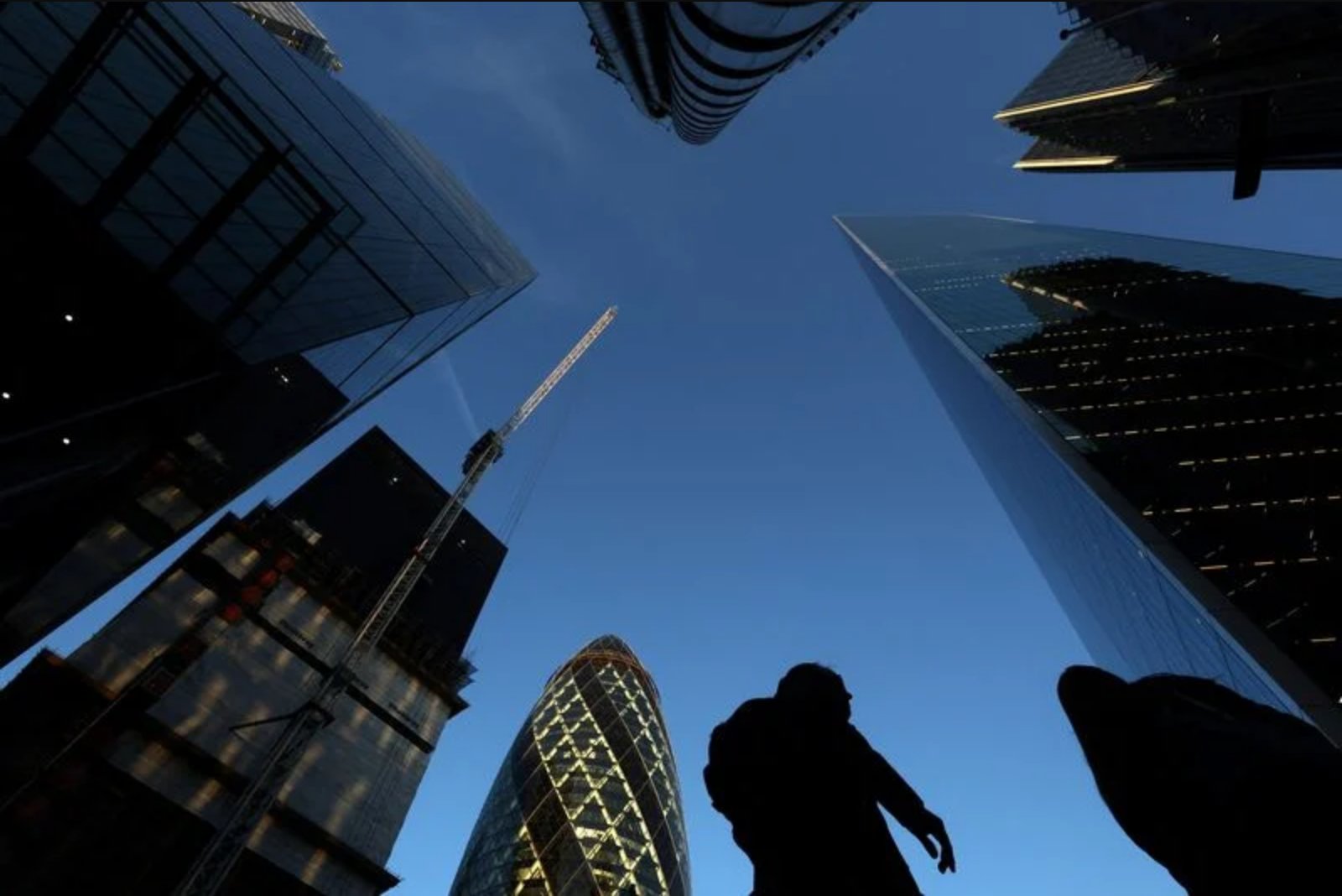 OECD: First-Year Global Minimum Tax Raised Billions Without Cutting Jobs or Investment