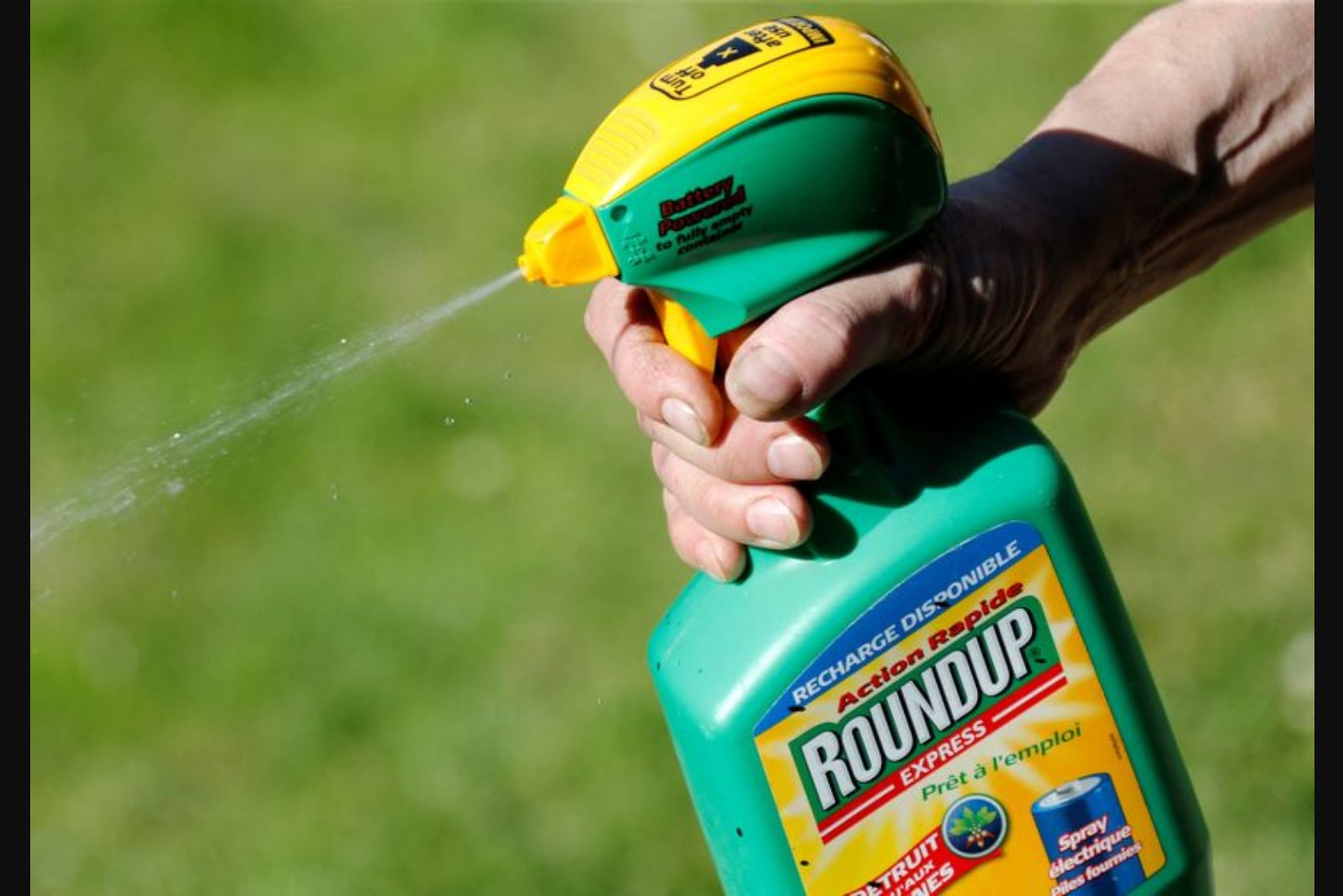 Bayer Shares Slide as Investors Question Proposed $7.25 Billion Roundup Settlement