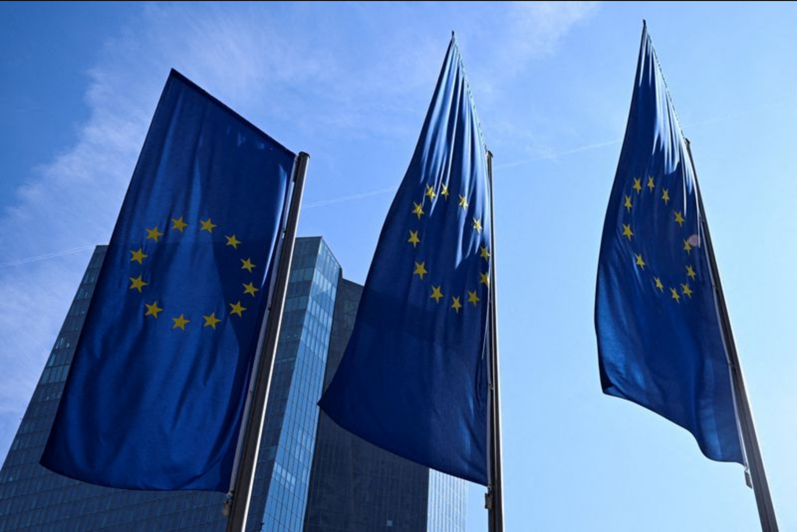 ECB supervisor warns governments against easing bank capital rules