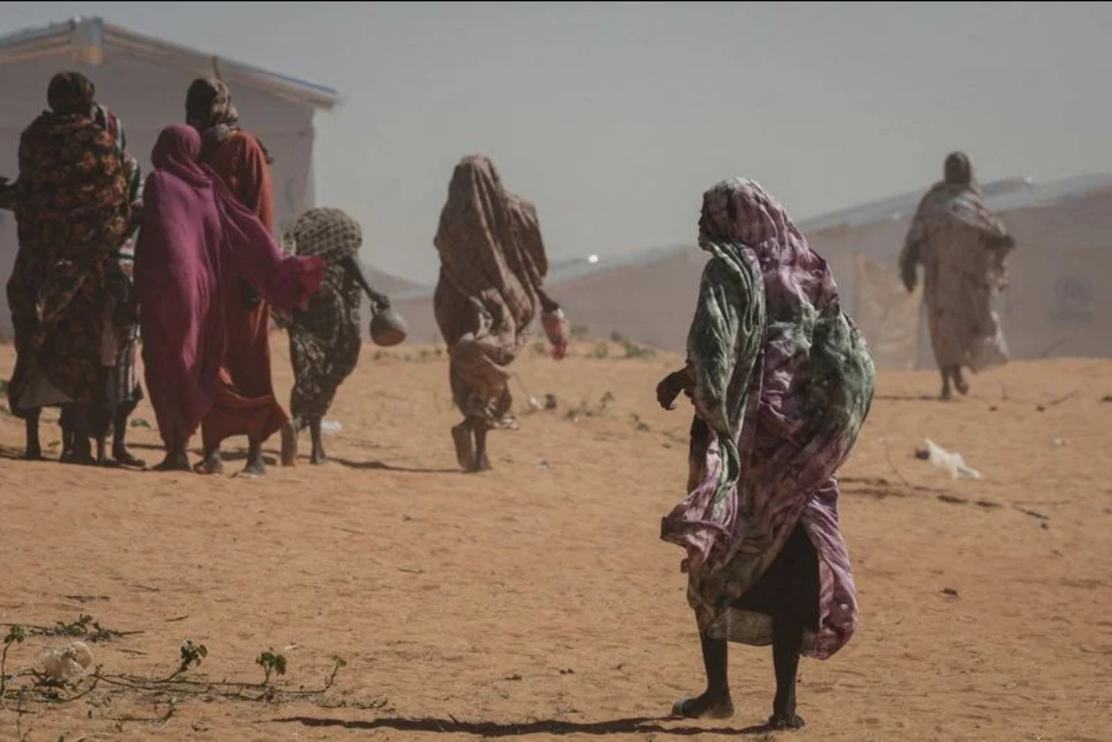 Broad Global Backing for Refuge Is Sustained Despite Rising Displacement, Poll Finds
