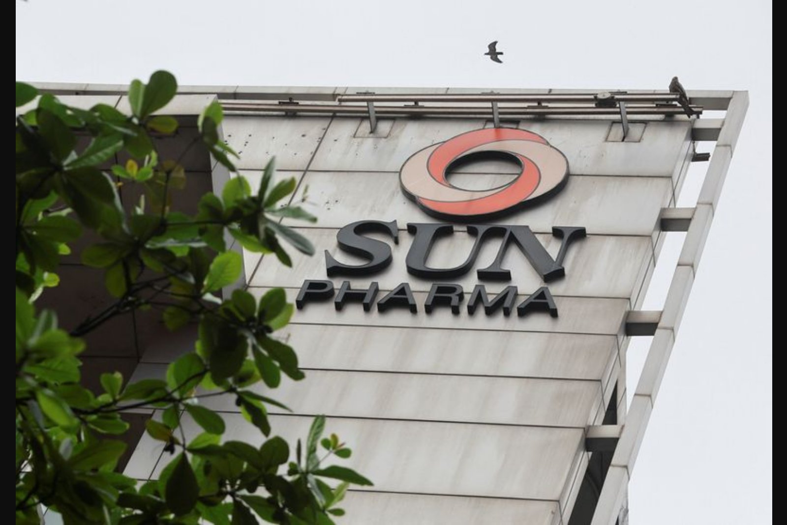 Sun Pharma to Acquire Organon for $11.75 Billion in India’s Largest Pharma Overseas Deal