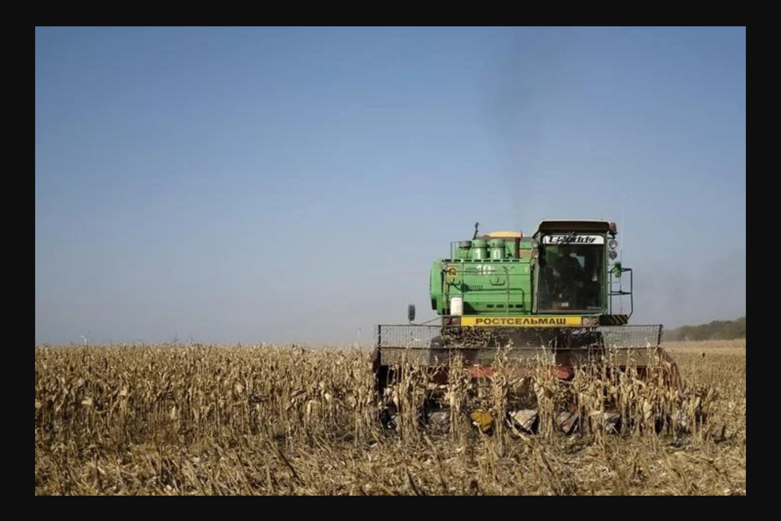 CBOT Wheat Falls as Early Oil Support Fades, Markets Focus on Supply and Weak U.S. Demand