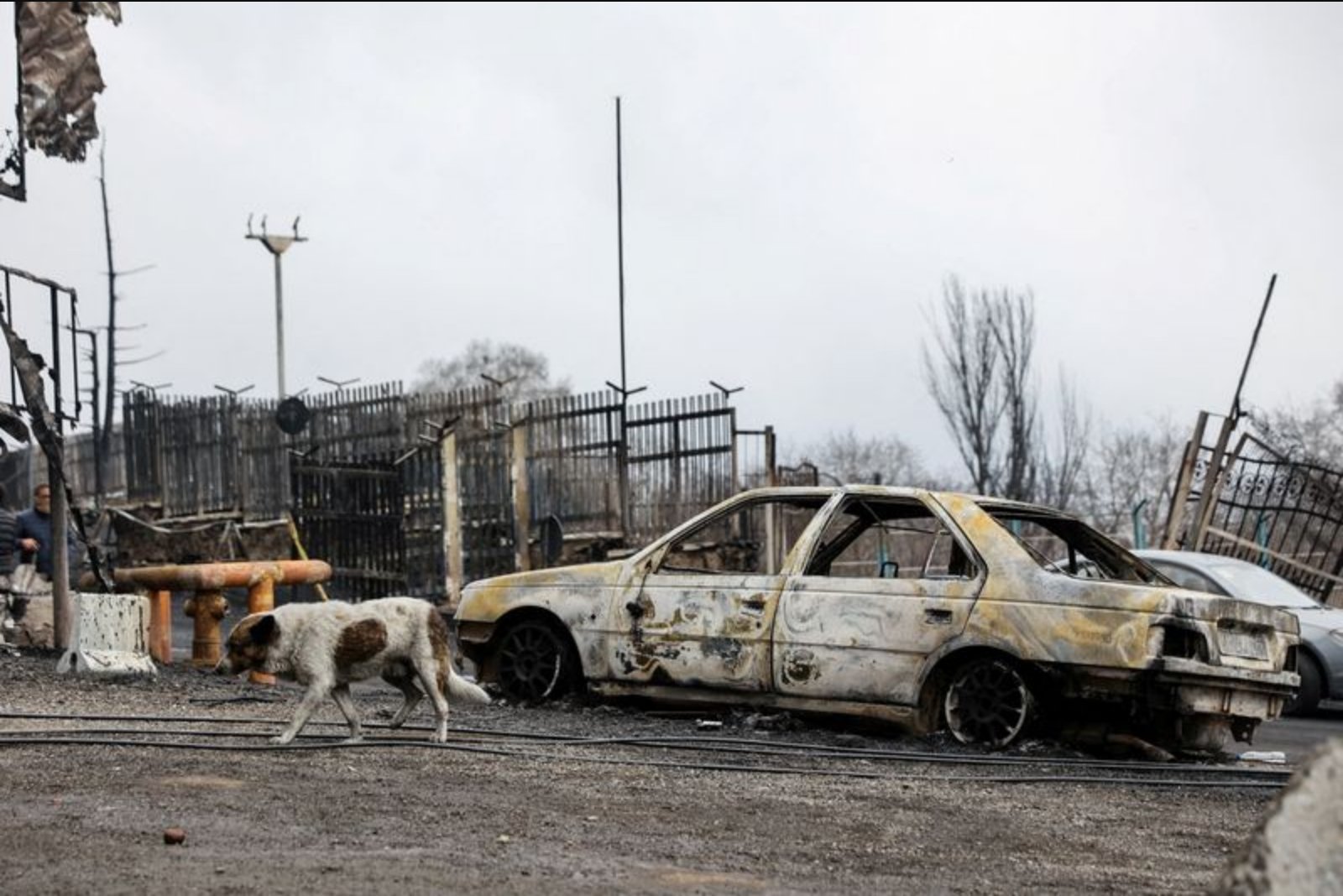 Iran conflict pushes markets to price earlier rate hikes as energy costs climb