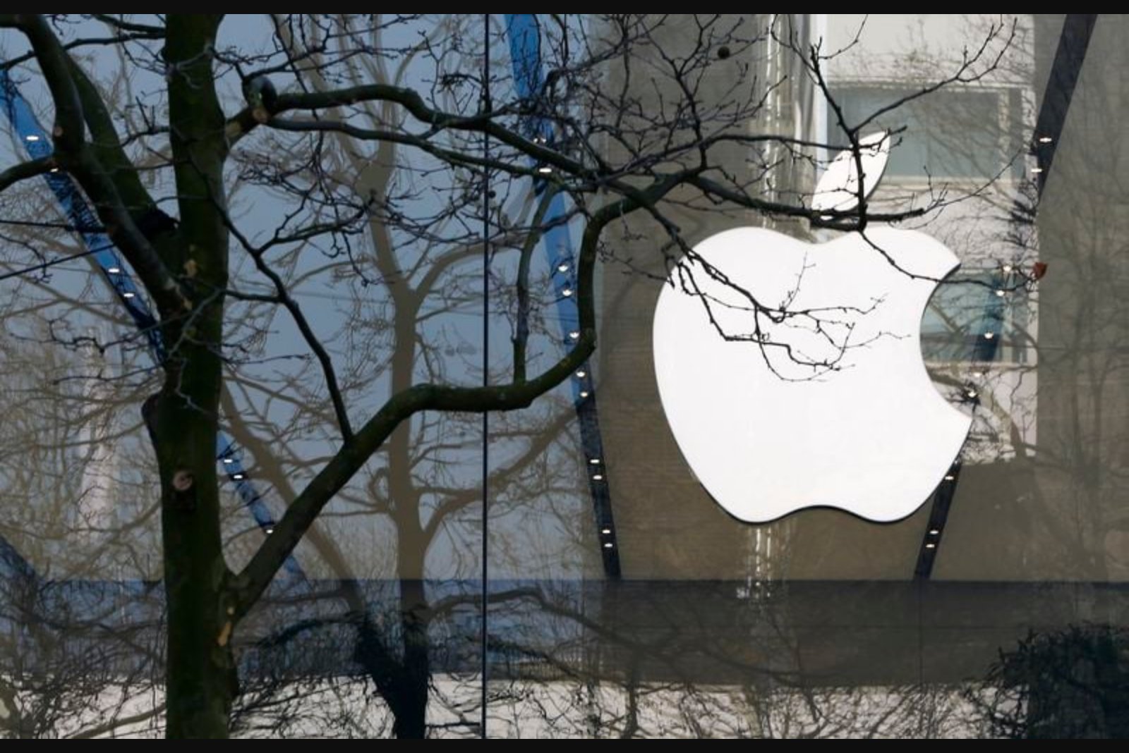 EU Technology Commissioner Holds Constructive Video Call with Apple CEO