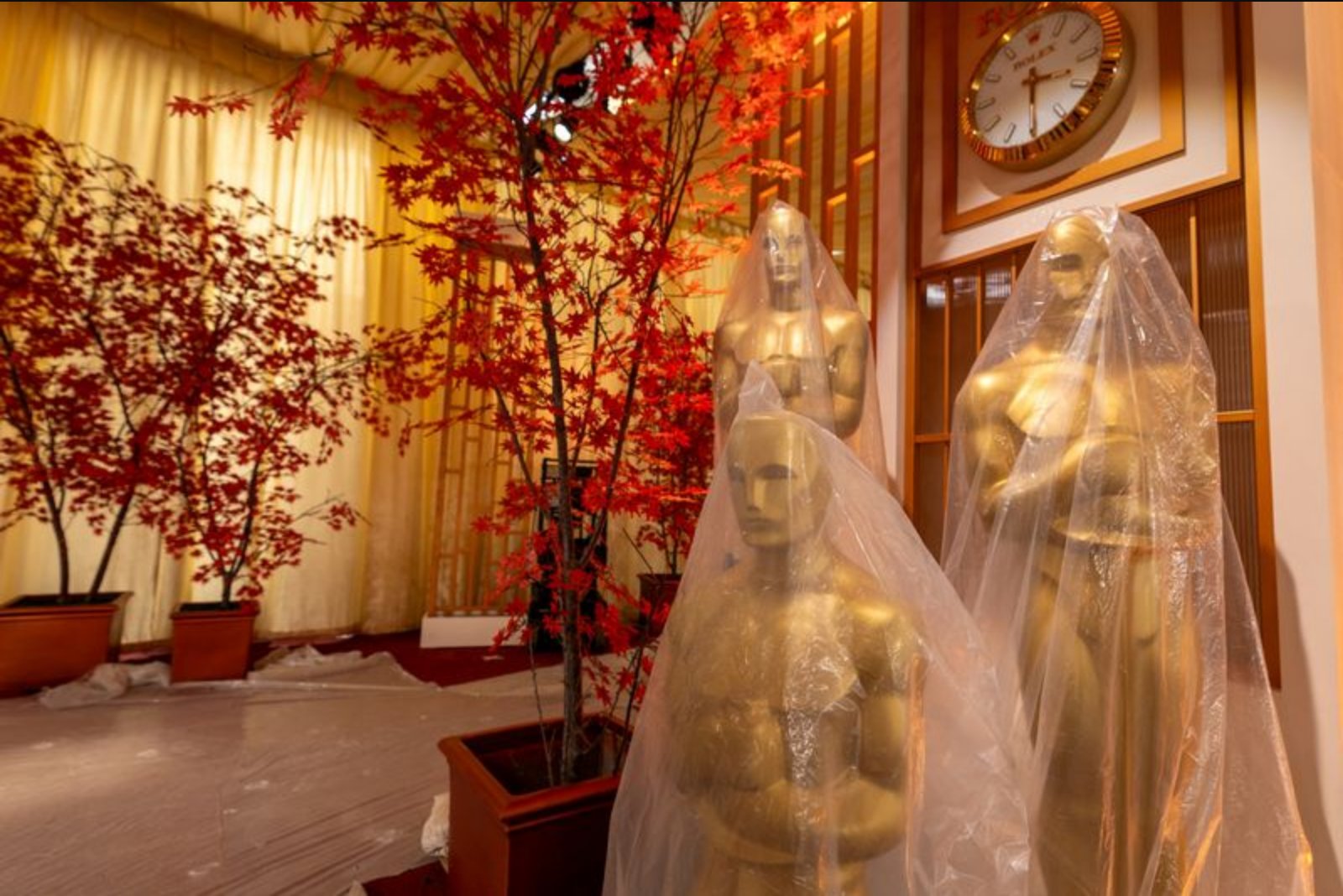 Oscars Shine Light on Brazil’s Ascendancy in Global Film Market