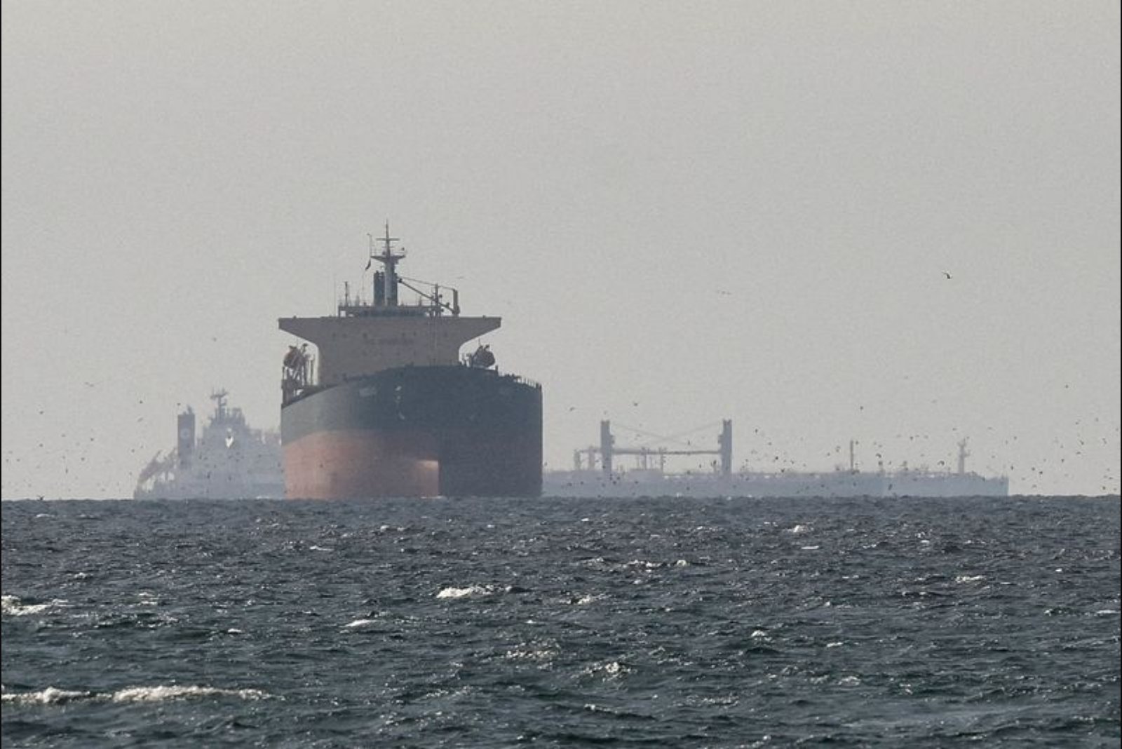 Global Responses to U.S. Appeal for Ships After Strait of Hormuz Disruption