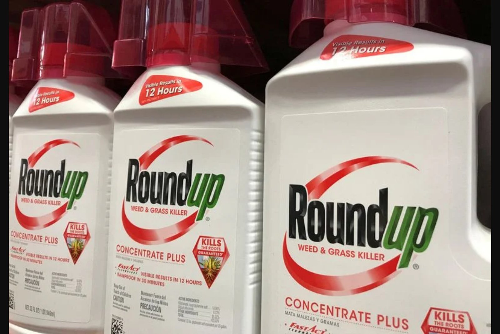 Bayer Says It Will Not Spin Off Monsanto as Litigation Mounts