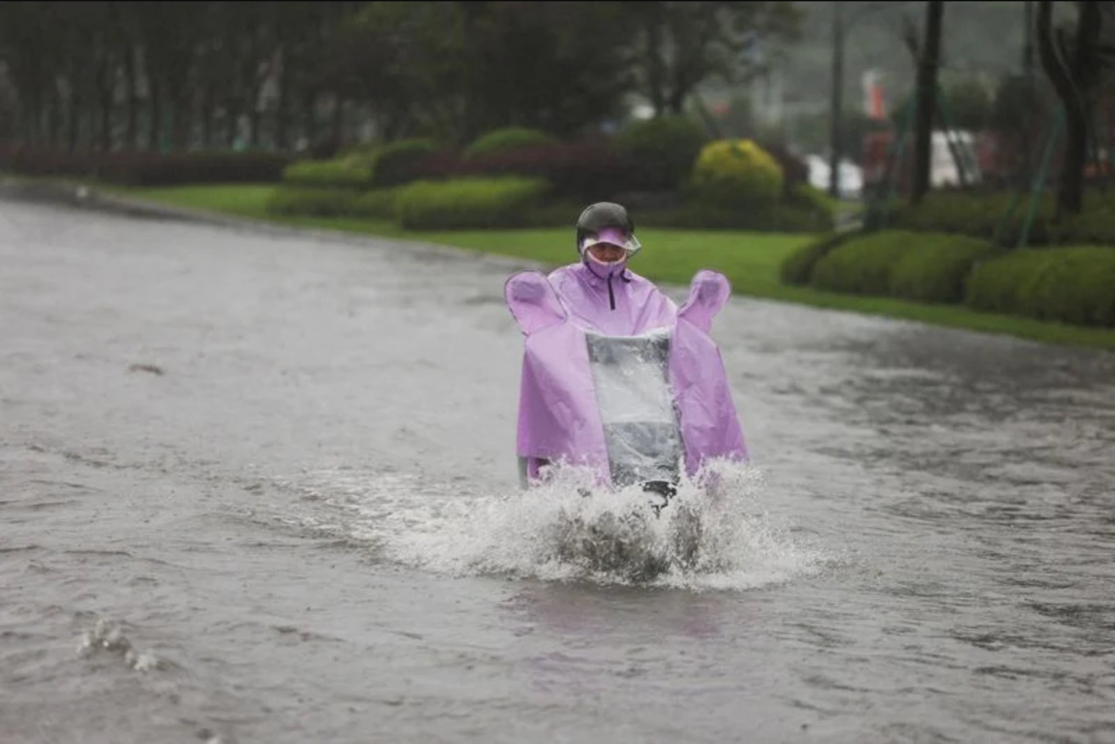 Typhoon Bavi Topples Trees and Floods Streets Across East China; Taiwan Reports 134 Injuries