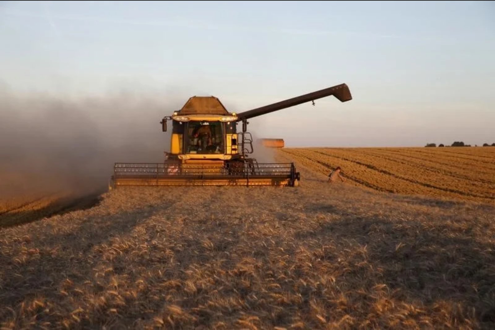 EU soft wheat exports fall sharply by mid-July as barley shipments also drop, maize imports rise