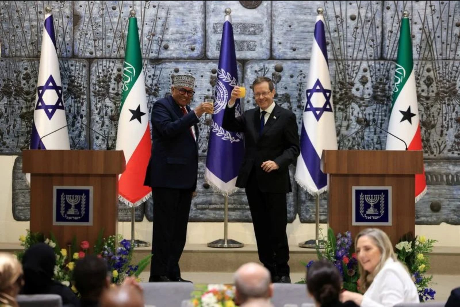 Somaliland Says Israel Is Training Its Forces, Rejects Reports of Military Base Talks